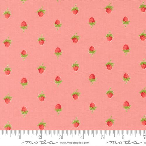 Quilting cotton - Bloomsberry - Pink
