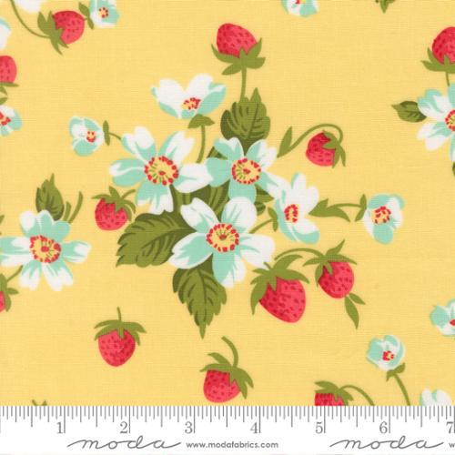 Quilting cotton - Bloomsberry - Buttermilk