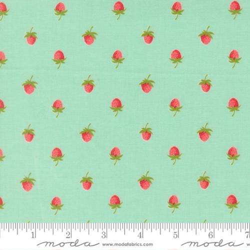 Quilting cotton - Bloomsberry - Aqua