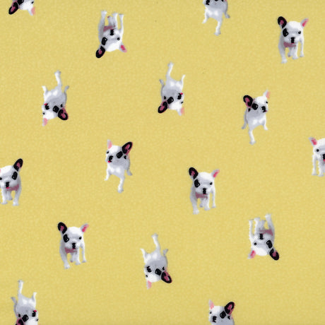 Polyester satin - Frenchie Pooch - Gold