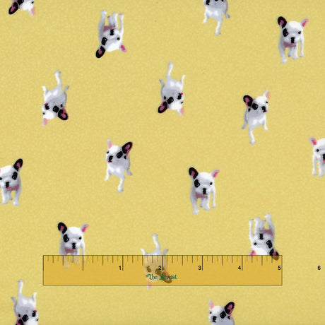 Polyester satin - Frenchie Pooch - Gold