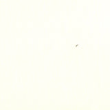 100 % Cashmere - Cream (Ralph Lauren)