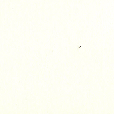 100 % Cashmere - Cream (Ralph Lauren)