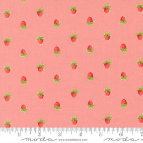 Quilting cotton - Bloomsberry - Pink