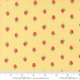 Quilting cotton - Bloomsberry - Buttermilk