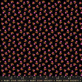 Quilting cotton - 1-800-Calico - Black
