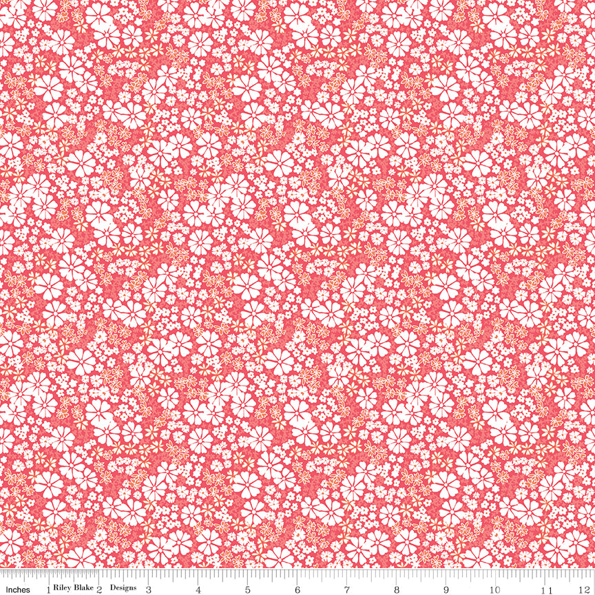 Quilting cotton - Chasing Rainbows - Guava